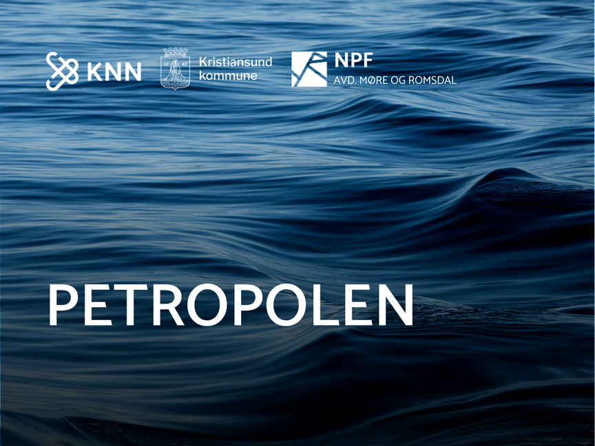 Når krisen rammer - er vi forberedt?